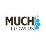 MUCH FLOWERS